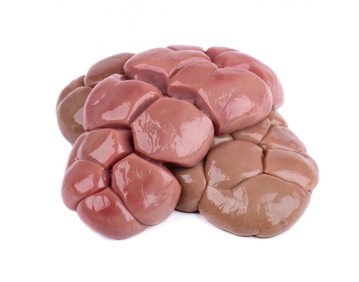 Beef Kidneys